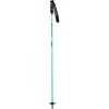 Goode Carbron Neutral Ski Poles | Sea Foam Green | 44-54" -Swix Shop USG GOODE