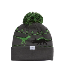 The Toy Bin Youth Beanie By Coal